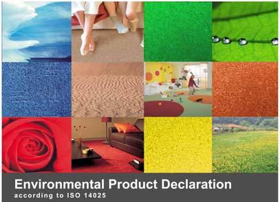 Environmental self-declaration