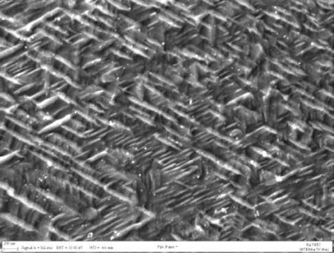 SEM in-lens image of the typical microstructure of 244 alloy after a 649 C/8000 h thermal exposure. The scale bar indicates 50