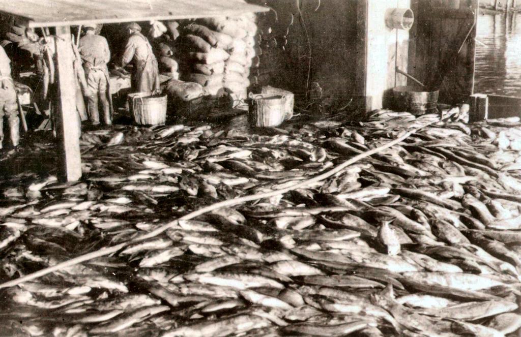 1 Growing seafood demand Fishing is