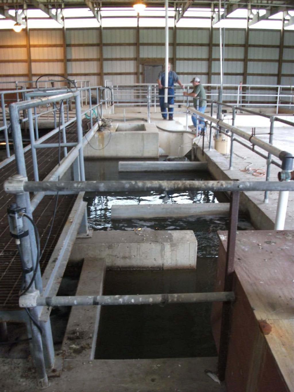 Figure 3.13: Chlorine Contact Basin 9. Aerobic Digesters There are four rectangular aerobic digester tanks. Two structures were constructed in 1965 and two in 1991.