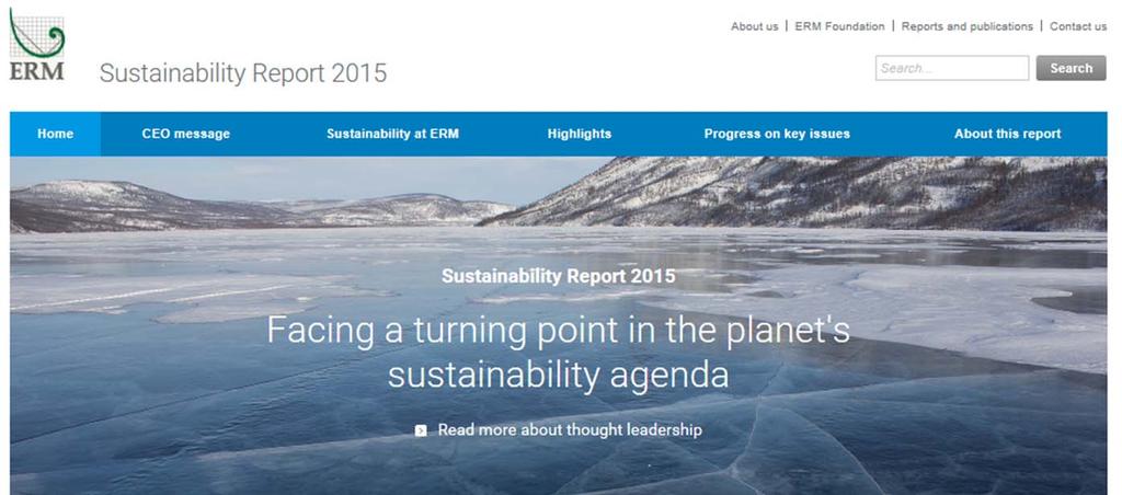 ERM 2015 Sustainability Report 2015