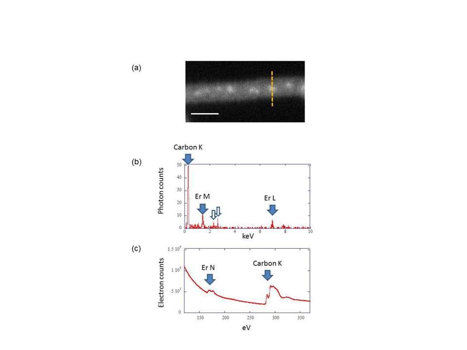 Simultaneous identification of a single atom by