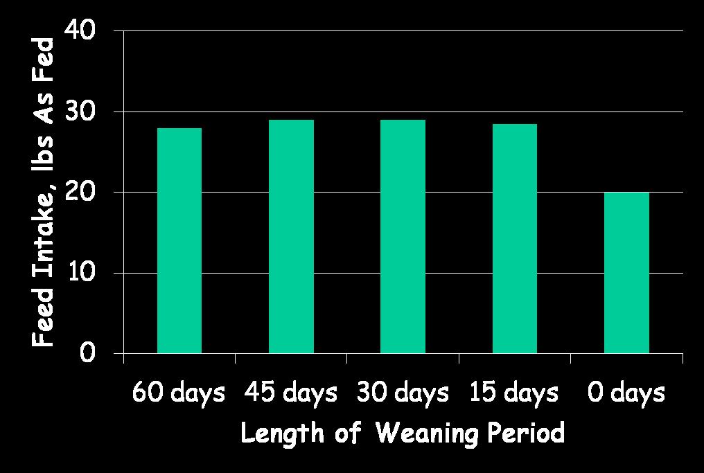 Effect of Length of Weaning Time on Feed Intake During the First 30 Days After Feedlot Arrival a a a a b When Might Preconditioning Result in Better Returns?