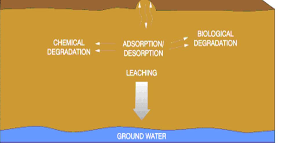 Environmental Fate Occurrence & Exposure Assessment LOW WATER