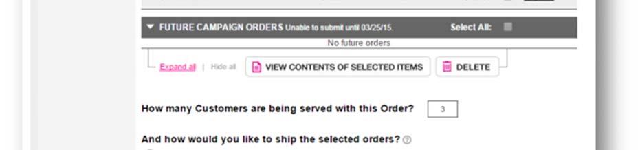 In this example, the Representative is placing their Regular Order (to be shipped on their scheduled shipping day).