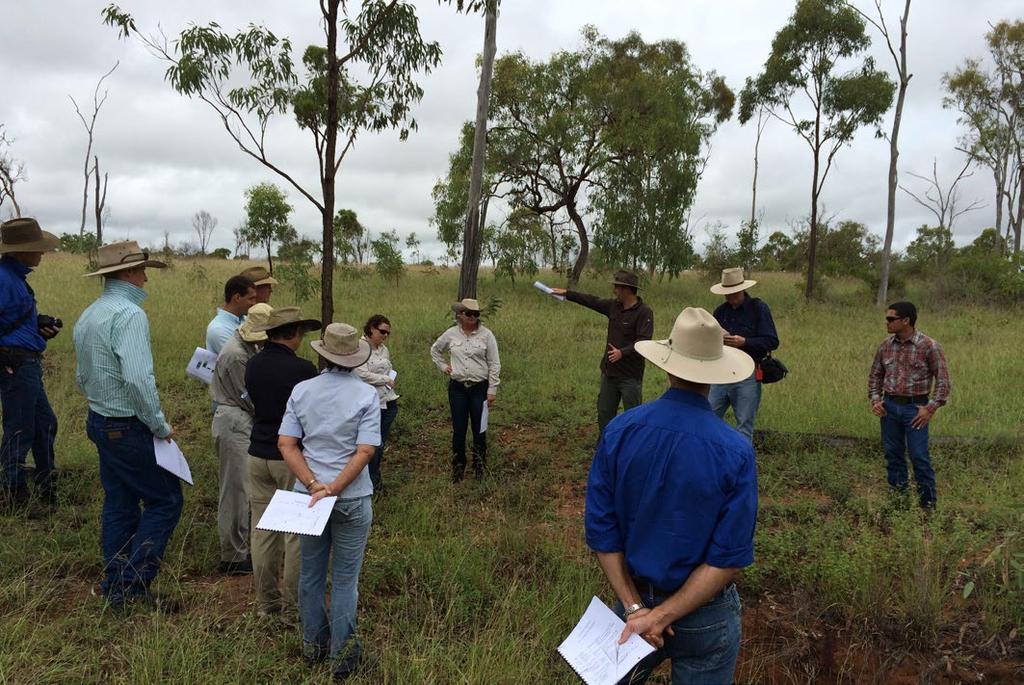 These include sectoral trade-off analysis tools such as Northern Australia Beef Systems Analyser, that enable an evaluation of how different mixes of grazing enterprise activities affect economic,