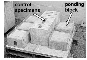 Figure 3.9: Block Specimens 15 The ponding blocks had the same plexiglass enclosures installed as the beams. The blocks were subjected to the same exposure cycles at the specimens.