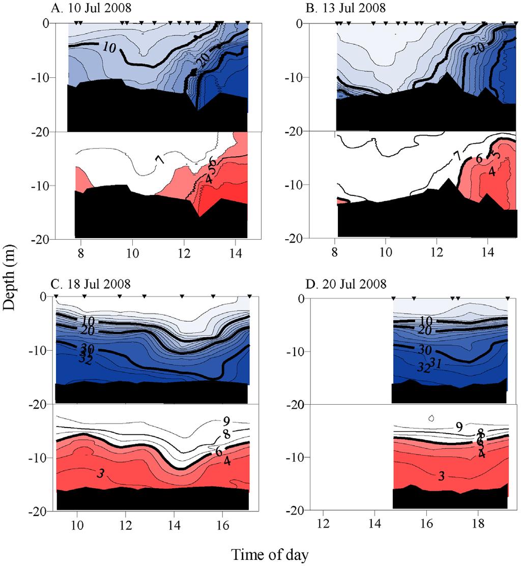 Figure 10. Anchor station time series of vertical water column salinity and dissolved oxygen concentration during July 2008. Salinity, top panels. Oxygen concentration, bottom panels.