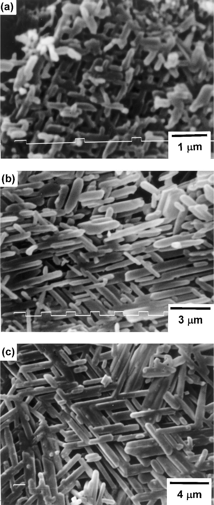 C.Y. Chen et al. / Ceramics International 26 (2000) 715±720 719 grains tend to form on the surface of kaolinite particles [15]. Comparing the XRD patterns before and after sintering, Figs.