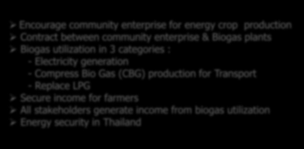 Pilot project on green energy for community enterprise (biogas production from Napier grass) Subsidy investment cost 20 %