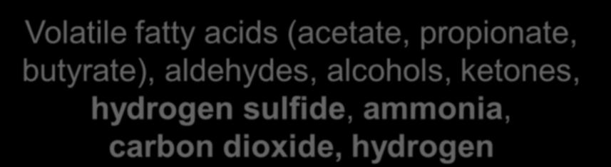 acids, SC peptides, LC fatty acids, glycerine Volatile fatty acids (acetate, propionate, butyrate),
