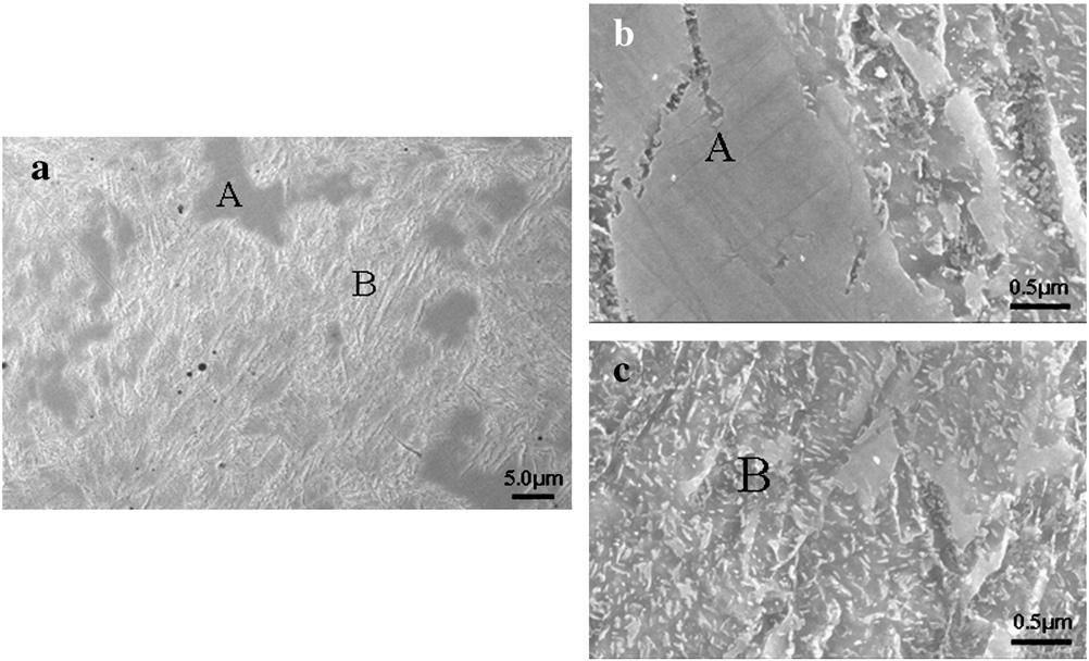 72 J. Yang et al. / Surface & Coatings Technology 219 (2013) 69 74 Fig. 6. FESEM of a) hardfacing metal, b) white reticular martensite and c) normal martensite.