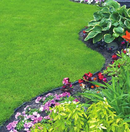 LANDSCAPING A FireSmart yard includes making smart choices for your plants, shrubs, grass and mulch.