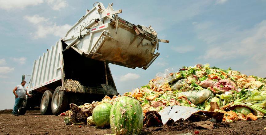 Definition of food waste Food waste is