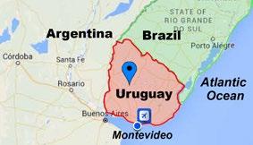 Investing in Farmland in Uruguay Foreign Investors Welcome: Unlike its larger neighbors, Argentina and Brazil, Uruguay welcomes foreign investment in farmland, treats foreign investors the same as
