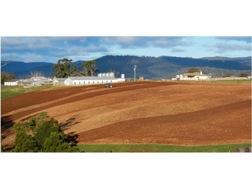 Typical Soil Characteristics Red and Brown soils on basalt The predominant agricultural soil type in the region Highly suited to agriculture (if fertility is maintained).