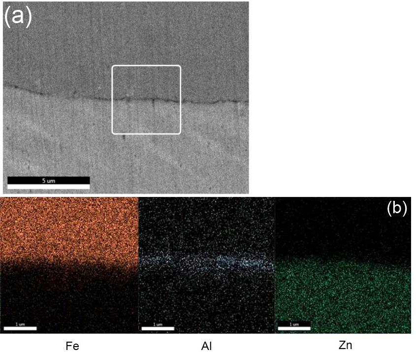 Figure 3.1: Interface between steel and Zn coating in HSLA hot-dip galvanised steel. a SEM micrograph; b Fe, Al and Zn element distribution maps of area marked in a 3.