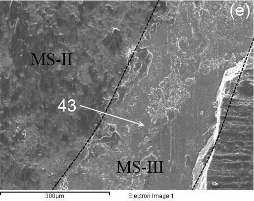 14: Fracture surface morphology of the Mg/steel