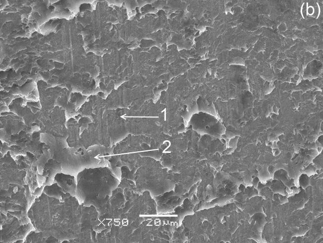 Fracture surface of the region exhibits steel surface with certain amount of Mg solidified on it, which suggests that some bonding
