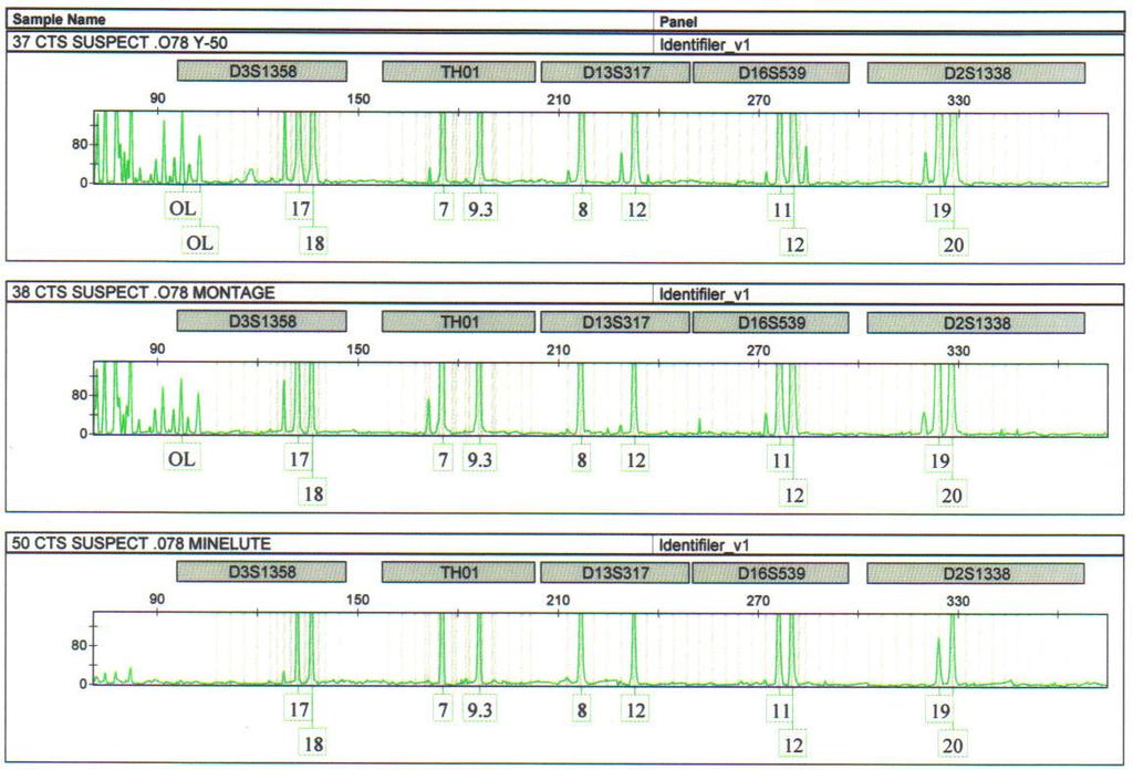 Montage PCR filter. These artifacts were observed below threshold in samples that did not possess off ladder alleles.
