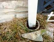Groundwater leaking into sewer system -