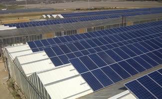 Plant Description: 1,5MW, Spain Scope: FEED and Detailed Design