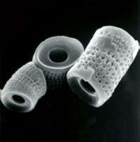 aquatic algae called diatoms. Living diatoms have the unique ability to absorb water soluble forms of silica from their natural environment to form a highly porous yet rigid silica skeleton.