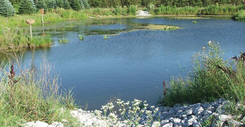 INFOSHEET #22 WETLANDS AND WILDLIFE PONDS How to address concerns identified in your Environmental Farm Plan Worksheet #22 Based on Environmental Farm Plan Workbook, 4th ed.
