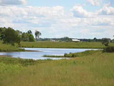 WETLANDS AND WILDLIFE PONDS INFOSHEET #22 LOCATION 22 1. Upland buffer strip between wetland or pond and cropland Buffer strips directly benefit surface water quality.