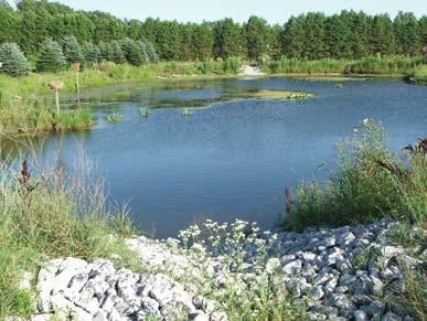 22 5. Wetlands and pond restoration (water management) Unrestricted water use or drainage may adversely affect fish and wildlife populations and can damage plant and soil resources of the wetland or