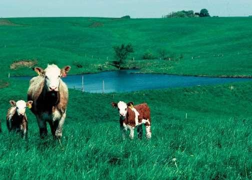 Conservation Practices on Grazing Lands Prescribed