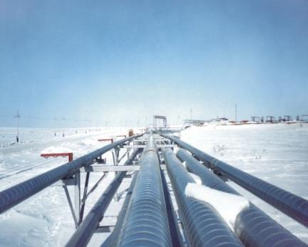 Projects: LUKOIL Customer: LUKOIL-Komi LLC Year: 2004 Location: Russia Facility: Yuzhno-Shapkinsk oil and gas field Total pipeline length: 13 km
