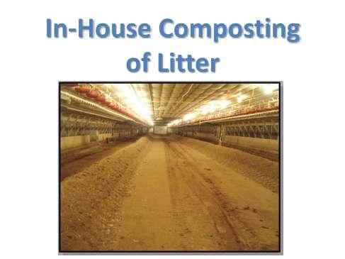 In house composting of litter between flocks is a litter management technique of growing interest in the poultry industry. This procedure is also called in-house pasteurization and windrowing.
