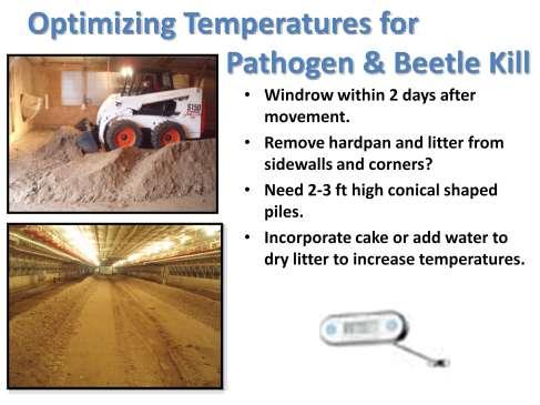 Before the bacteria for heat production start to die off and litter moisture is loss to the environment, it is important to construct windrows within the first 2 days following bird movement to aid