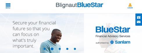 Intermediary enablement Digital enhancement of intermediary practices BlueStar websites Full