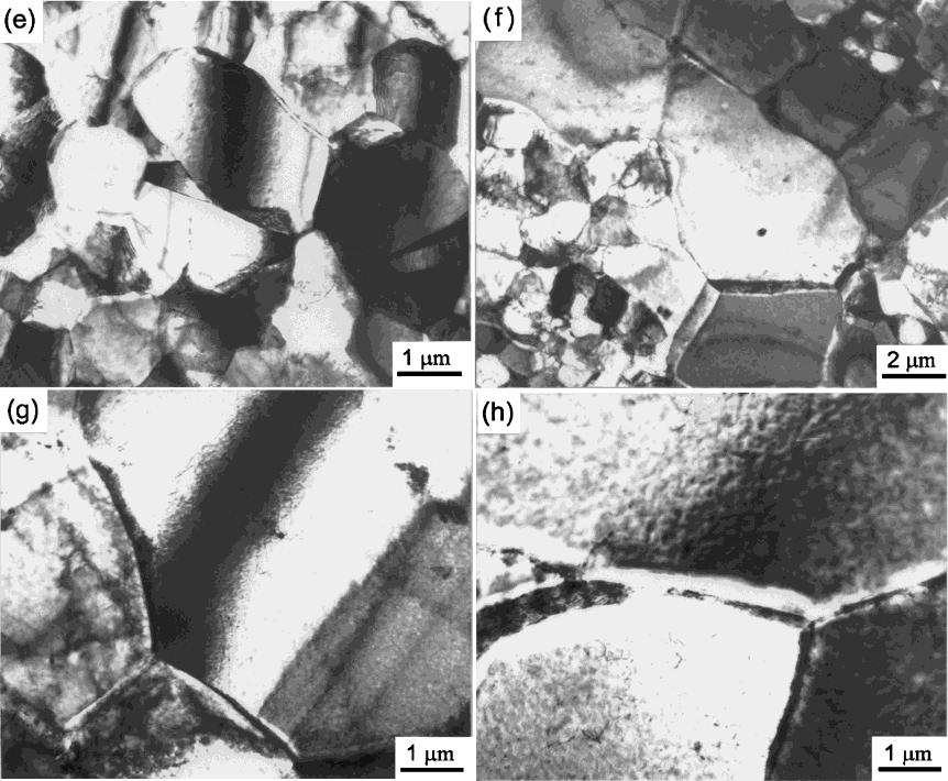 2324 S.-H. Lee, Y. Saito, K.-T. Park and D. H. Shin Fig. 4 TEM micrographs and the corresponding SAD patterns observed from ND plane of ultra low carbon IF steel annealed for.