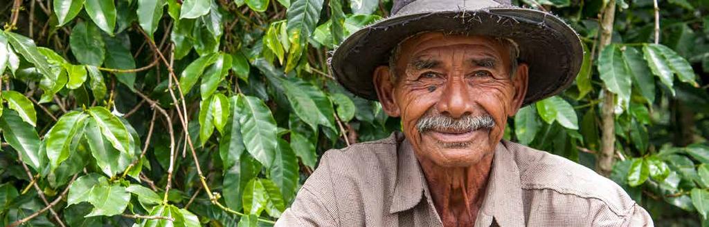 $1.9M Our three-year pledge to the Coffee Farmer Resilience Initiative provides aid and support to farmers who have lost their crops to coffee leaf rust disease.
