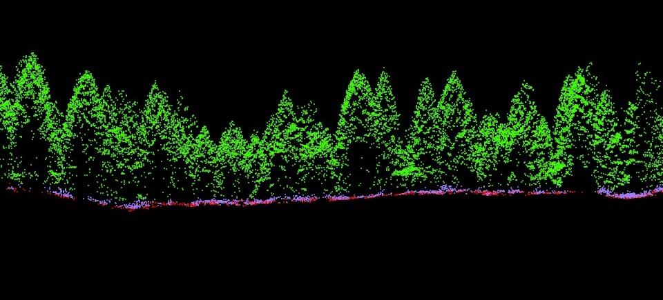 First, vegetation is classified in the lidar point