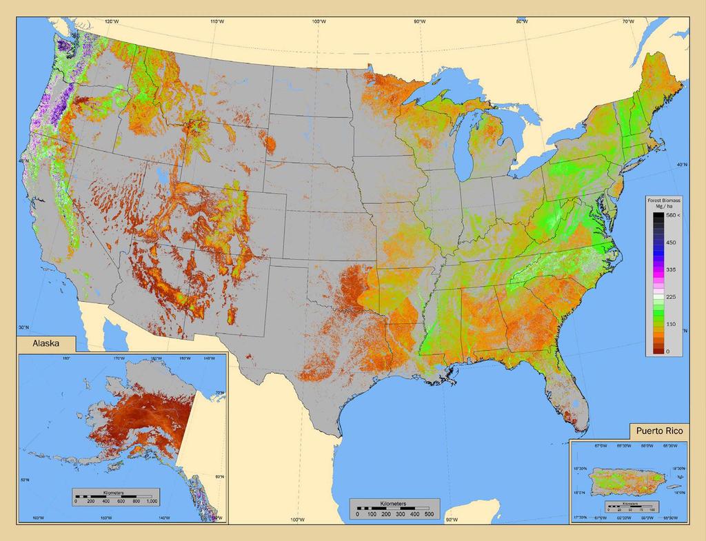 Satellite data is appropriate for modeling biomass