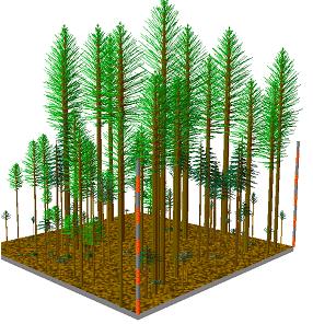 Lidar supports estimates with finer spatial resolution Methods include: Plot level Groups/stands of trees