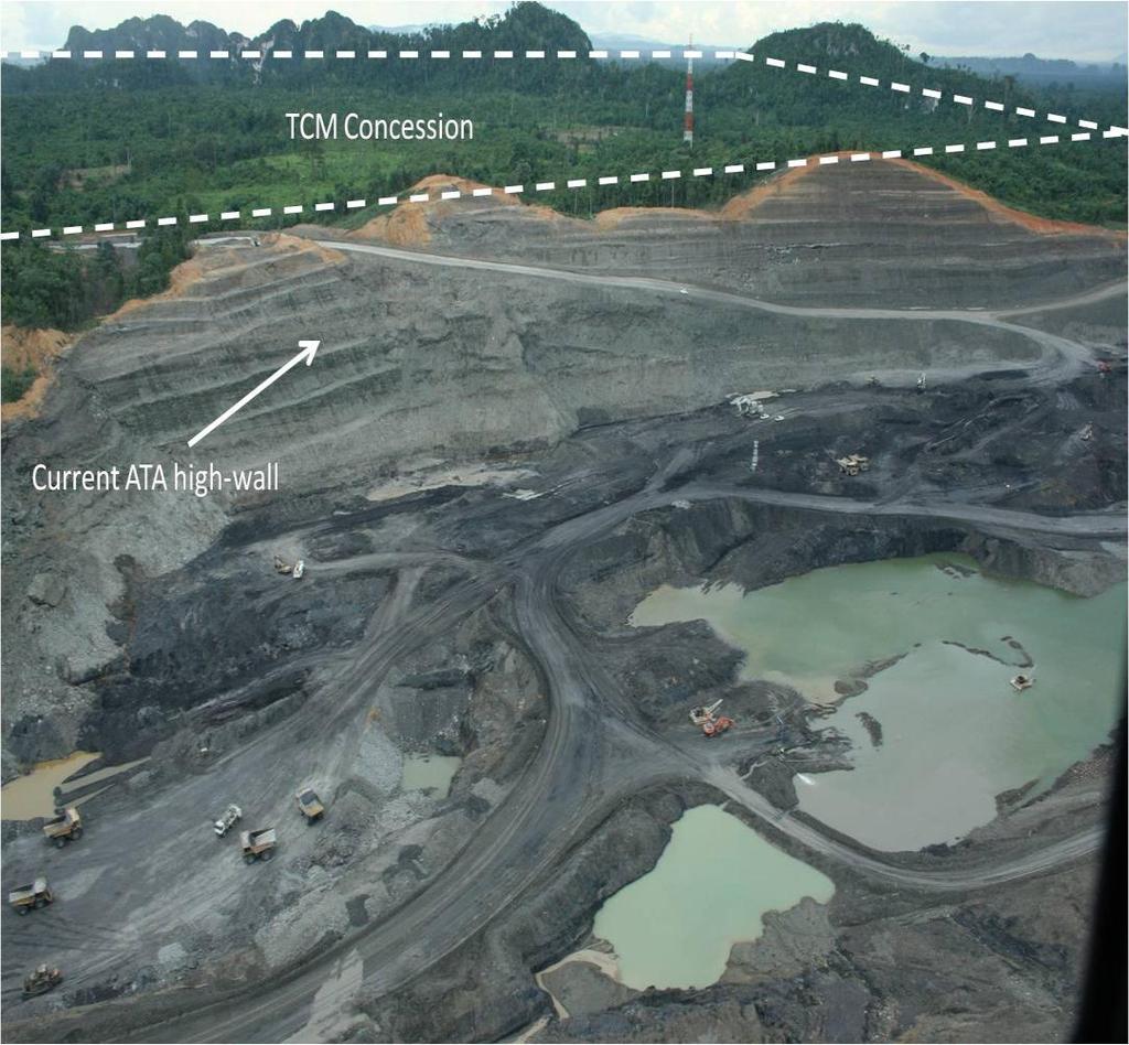 Flagship Pre Development Project TCM South Kalimantan 75% interest (25% Local Partners) (3,044Ha) Immediately adjacent to PT Arutmin ATA mine 4 main coal seams dip into TCM High calorific value