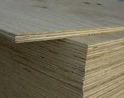 ADHESION TO EXTERIOR-GRADE PLYWOOD P: Adhesion to Exterior-Grade Plywood Class P1: Normal Adhesion to EGP Tensile