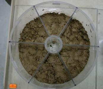 Avoidance Bioassay: 48-hour soil avoidance study exposing earthworms to