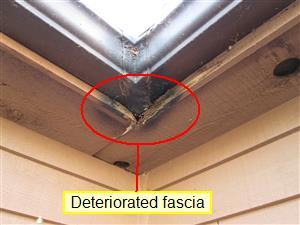 Area of moisture deteriorated wood fascia