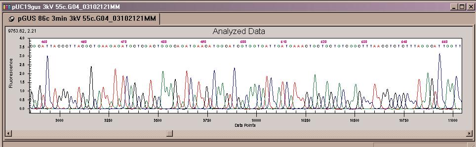Using the new separation method parameters, a comparison was performed against the default LFR-1 separation method supplied with the CEQ 8000 Genetic Analysis System.