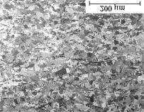 Microstructure of g-met sheet Cross-sectional specimens of various γ-met products have been studied in both the PA and FL heat treat conditions.