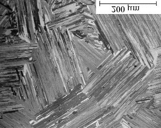 Fig. 5 Microstructure of fully lamellar (FL) gamma titanium aluminide. Nominal composition of ODS alloys, wt% Fig.