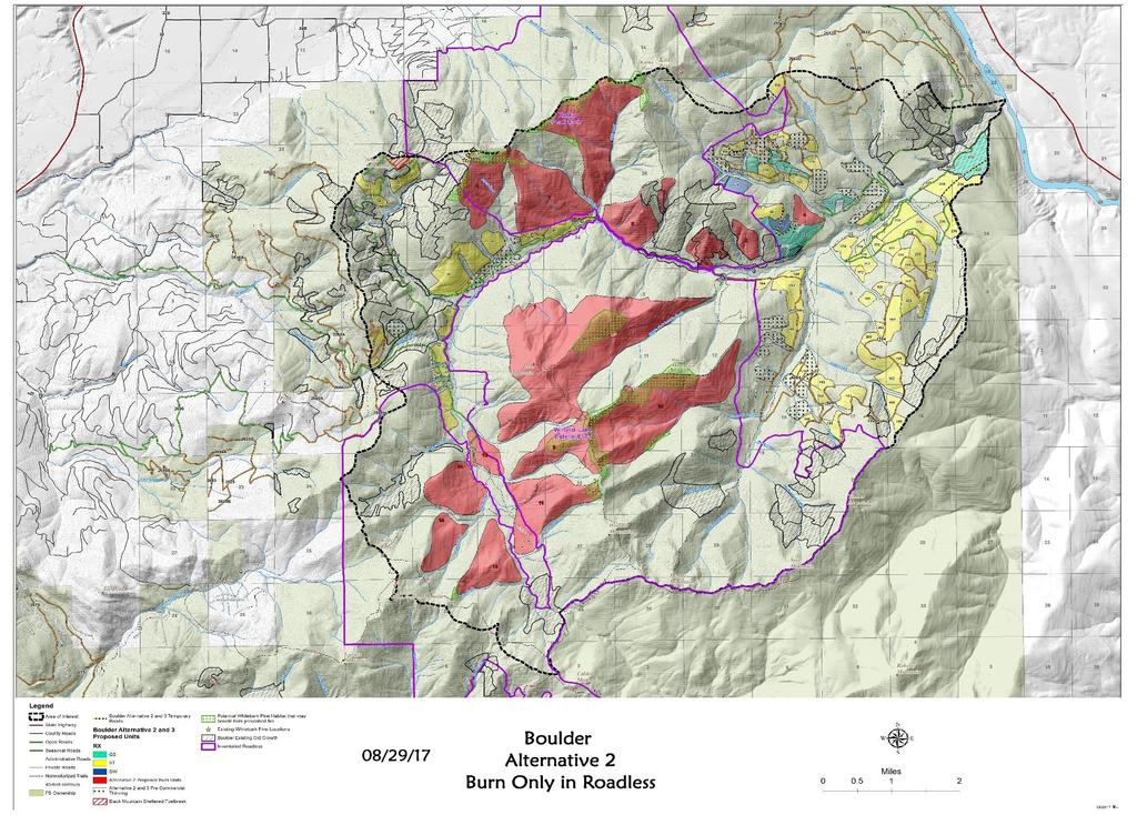 Map 6 Alternative 2 - location of old growth and whitebark pine