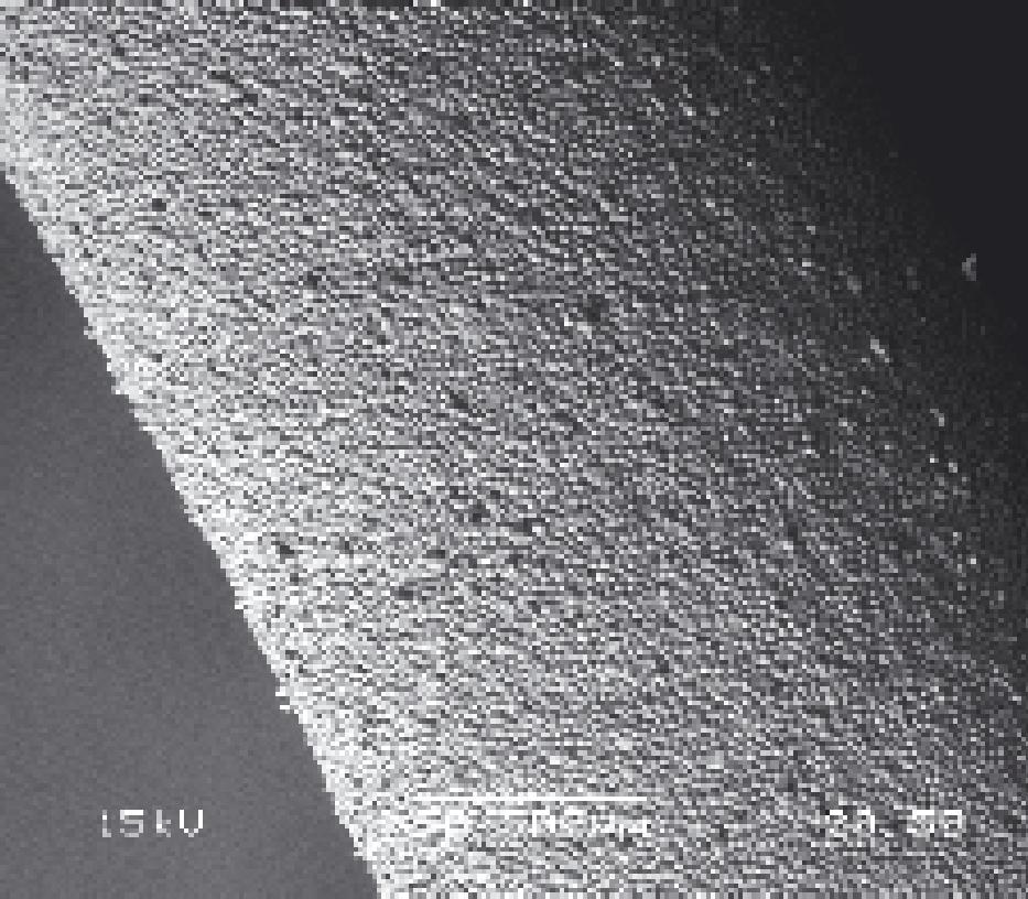 A fairly uniform coating of the RAM particles on the SBSE device was observed in contrast to the initial smooth surface topography of the glass stir bar support (Figure 2). A B Figure 2.