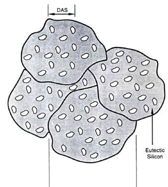 DAS Grain Size Eutectic Silicon 1. Grain Size Each grain contains a family of aluminum dendrites which all originate from the same nucleus. 2.
